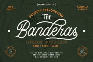 Banderas: A Vintage Script Handwritten Font for Creative Projects