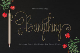 Banything: A Graceful Script Handwritten Font for Editorial Design