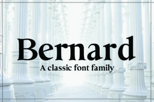 Bernard Modern Serif Typeface for Campaign Design
