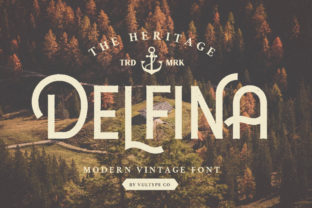 Delfina Retro Sans Serif Font for Modern Web Design