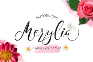 Merylia: The Organic Script Handwritten Font for Boutique Branding
