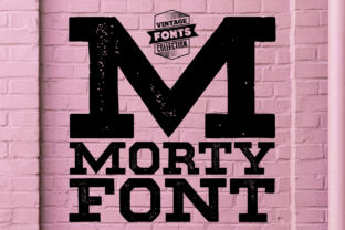 Morty: The Bold Slab Serif Font for Polished Brand Identity