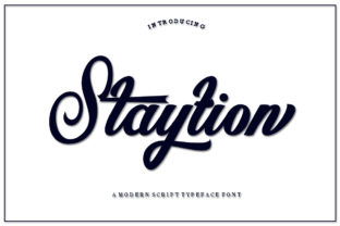 Upgrade Your Brand With Staytion Script