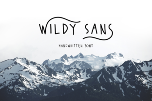 Wildy Sans Typeface for Modern Digital Branding