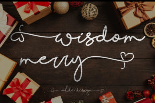 Wisdom Merry Typeface Review for Elegant Branding